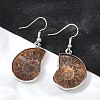 Fossil Spiral Dangle Earrings EJEW-P153-01-5