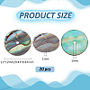 20Pcs Natural Paua Shell Beads SSHEL-BC0001-31-2
