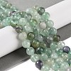 Natural Fluorite Beads Strands LS-G-P530-B04-03-2