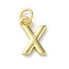 Rack Plating Brass Charms KK-P245-06G-X-1