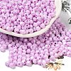 Baking Painted Glass Seed Beads SEED-C004-01K-1