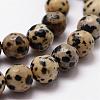 Natural Dalmatian Jasper Beads Strands G-D840-49-8mm-3