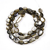 Natural White Shell Beads Strands SHEL-N036-21A-2