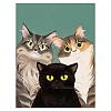 Cat DIY Diamond Painting Kits PW-WG313F1-07-1