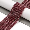 Natural Garnet Beads Strands G-K376-B06-01-2