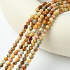 Natural Crazy Lace Agate Round Bead Strands G-E334-4mm-20-3