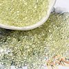 Glass Seed Beads SEED-K009-04A-02-1