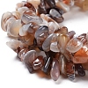 Natural Botswana Agate Beads Strands X-G-I283-A05-3