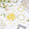 Acrylic & Plastic Beads Kits MACR-SP0001-49B-4