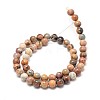 Natural Venus Jasper Beads Strands G-P075-57-4mm-2