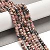 Natural Argentina Rhodonite Beads Strands G-B107-B01-01-2