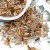 Glass Round Bugle Beads SEED-XCP0001-47G-1