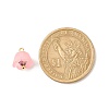 Transparent Acrylic Charms PALLOY-JF01603-02-2