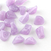 Chip Imitation Gemstone Acrylic Beads LS-OACR-R021-17-1