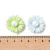 Resin Cabochons CRES-D323-04-3
