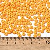 Baking Paint Glass Seed Beads X1-SEED-B001-02A-17-4