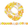 Electroplate Glass Beads Strands EGLA-yw0002-C04-1