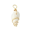 Natural Spiral Shell Pendants PALLOY-JF02792-01-3