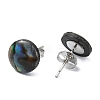 Flat Round Oval Natural Paua Shell Stud Earring for Women EJEW-JE07125-4
