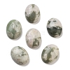 Natural Peace Jade Cabochons G-G145-01B-55-1