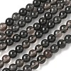 Natural Ice Obsidian Beads Strands G-P590-A03-6mm-02-2