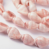 Natural Sea Shell Conch Bead Strands BSHE-O009-11-1