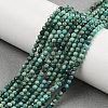 Natural Chrysocolla Beads Strands G-P514-A03-02-A-5
