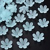 Transparent Acrylic Beads X1-MACR-S373-107-D04-1