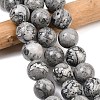 Natural Map Stone Beads Strands G-L648-A05-16mm-1