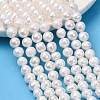 Natural Cultured Freshwater Pearl Beads Strands PA-CBABE82-04-1