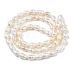 Natural Cultured Freshwater Pearl Beads Strands PEAR-N012-04B-2