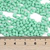 Baking Paint Glass Seed Beads SEED-K010-A07-4