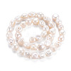 Natural Keshi Pearl Beads Strands PEAR-S020-T01-3