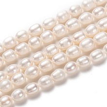 Natural Cultured Freshwater Pearl Beads Strands PEAR-L033-78