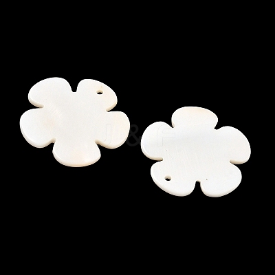 Shell Pendants PBB180Y-1