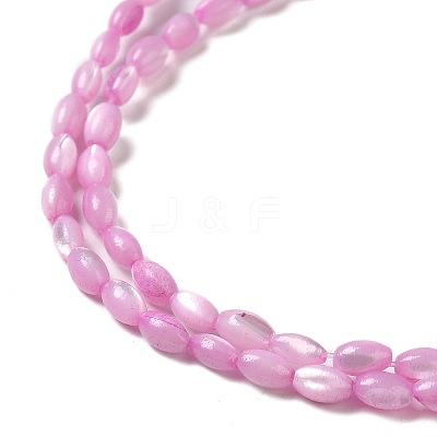 Natural Trochus Shell Beads Strands SHEL-K006-19A-1