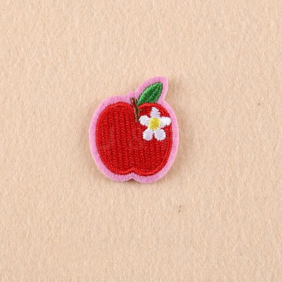 Computerized Embroidery Cloth Iron on/Sew on Patches DIY-F038-E11-1