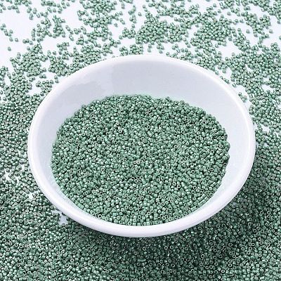 MIYUKI Delica Beads SEED-MY11-DB1171-1