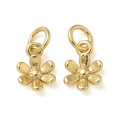 Rack Plating Brass Pendants KK-K392-51G-1