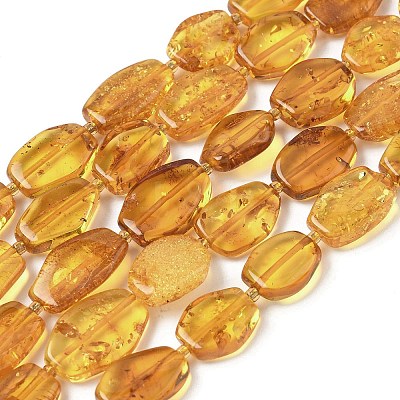 Natural Amber Beads Strands G-L095-C01-05-1