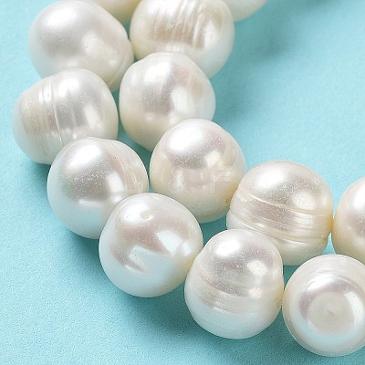 Natural Cultured Freshwater Pearl Beads Strands PEAR-E019-09-1