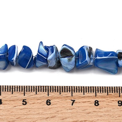 Natural Trochid Shell/Trochus Shell Beads Strands SHEL-B003-02G-1