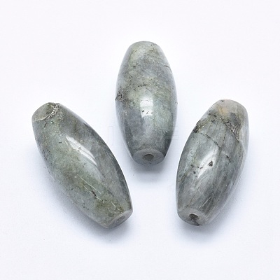 Natural Labradorite Beads G-P384-T26-1