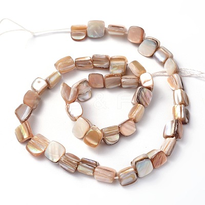 Erose Shell Beads Strands PBB071Y-1