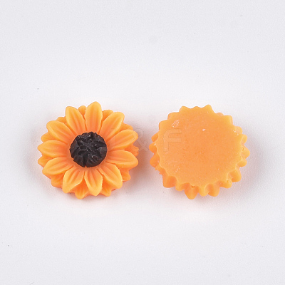 Resin Cabochons X-CRES-T010-60-1