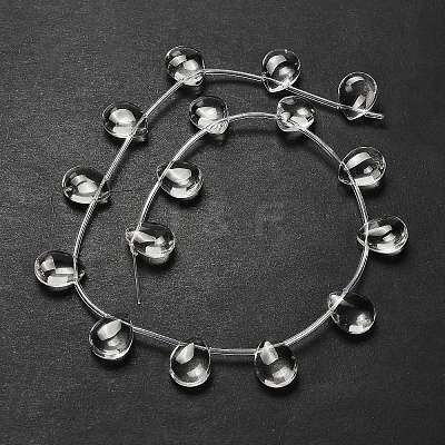 Transparent Glass Beads Strands G-P562-01-1