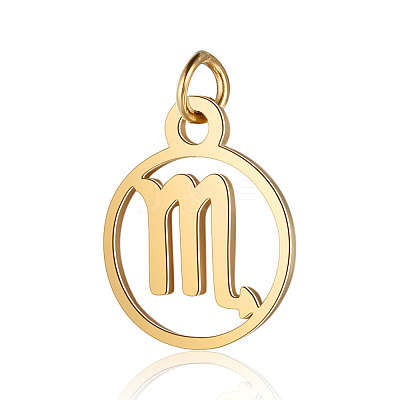 201 Stainless Steel Charms STAS-T036-T513-8-1