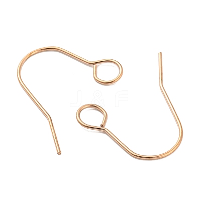 304 Stainless Steel Earring Hooks STAS-B047-31RG-1