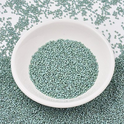 MIYUKI Delica Beads SEED-J020-DB2313-1