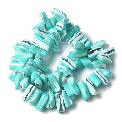 Dyed Natural Trochus Shell Beads Strands X-SSHEL-C013-09M-1